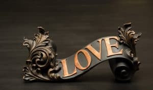 Catch the Foxes that Spoil the Fruit of Love LOVE