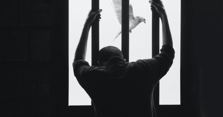 Entrap in Prison