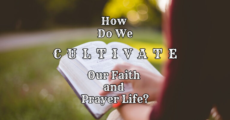 Cultivate Faith