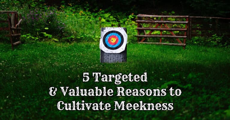 5 Targeted Reasons to Cultivate Meekness