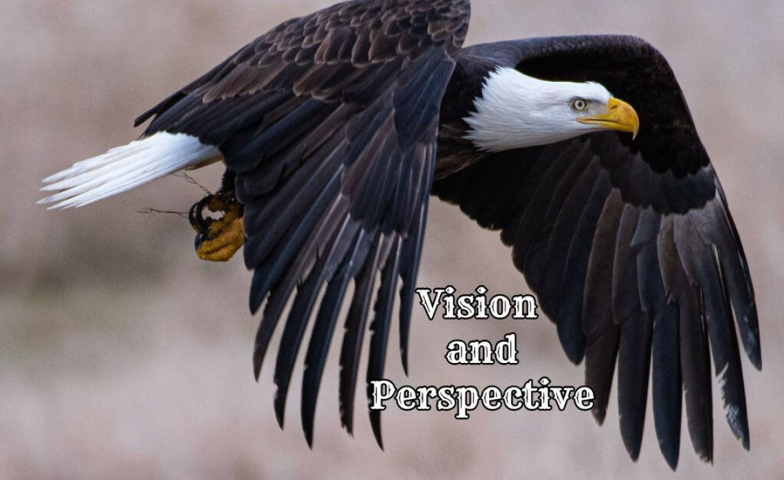 Vision and Perspective