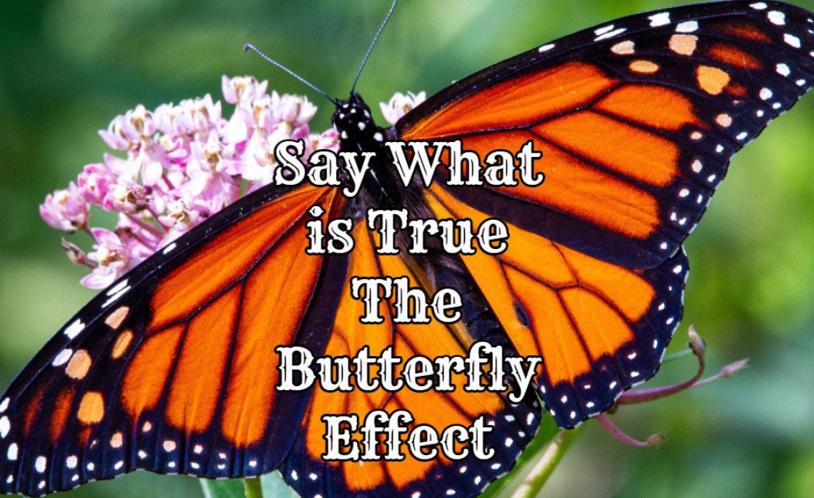 Say What is True - The Butterfly Effect